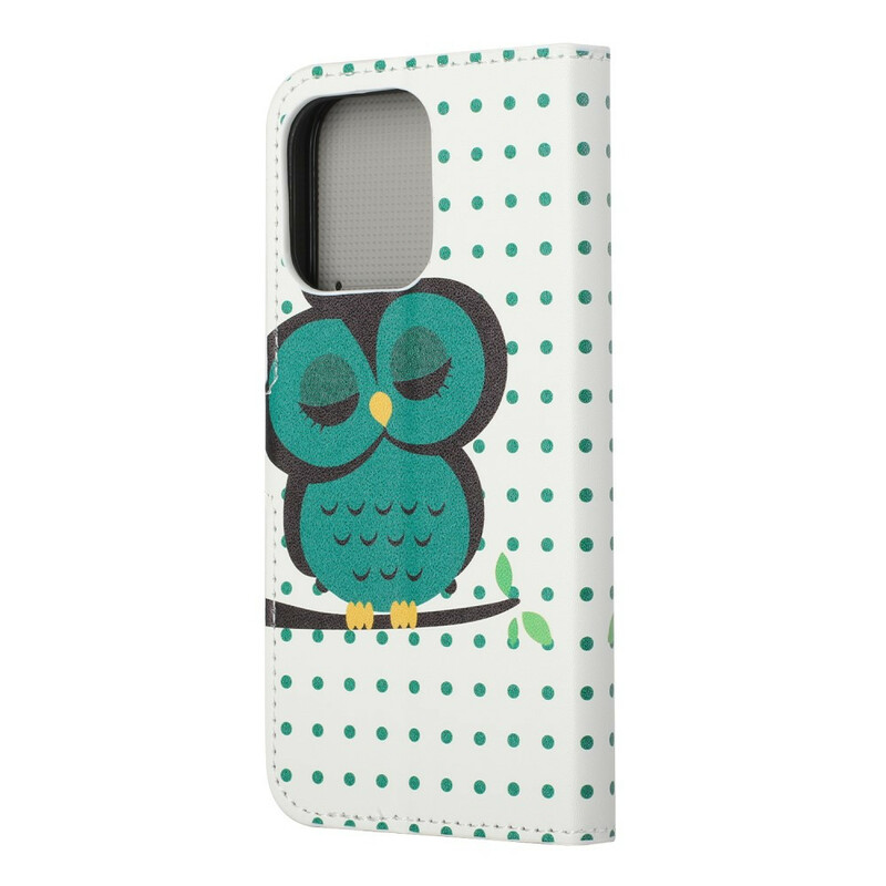 Funda para iPhone 13 Sleeping Owl