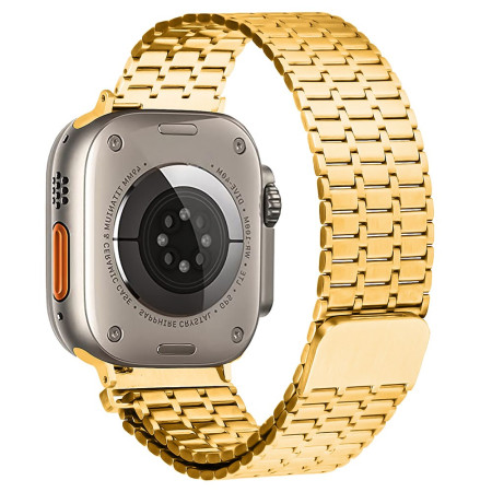 Pulsera Apple Watch Series...