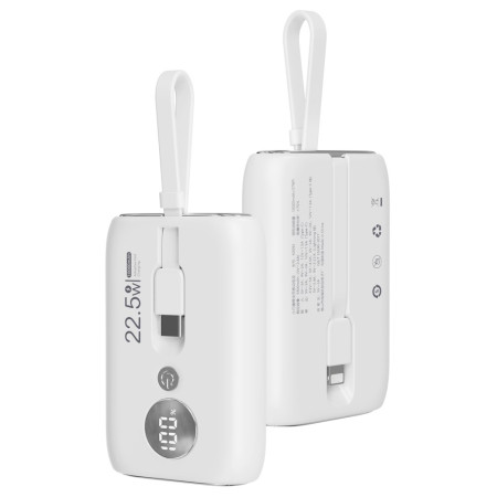 ROISKIN Batería externa de...