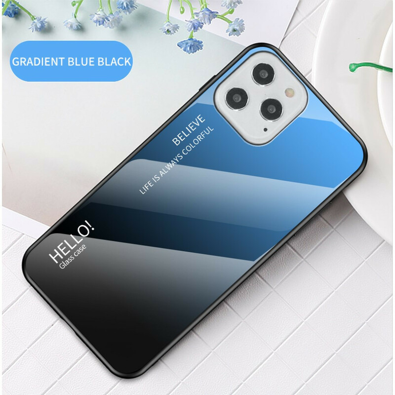 Funda iPhone 12 Max / 12 Pro Vidrio Templado Hola