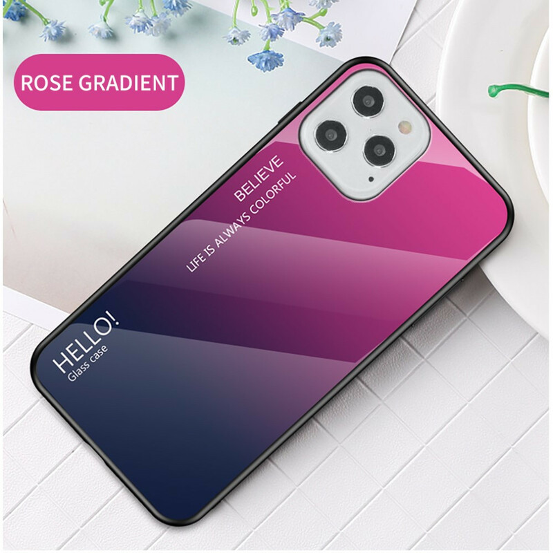 Funda iPhone 12 Max / 12 Pro Vidrio Templado Hola